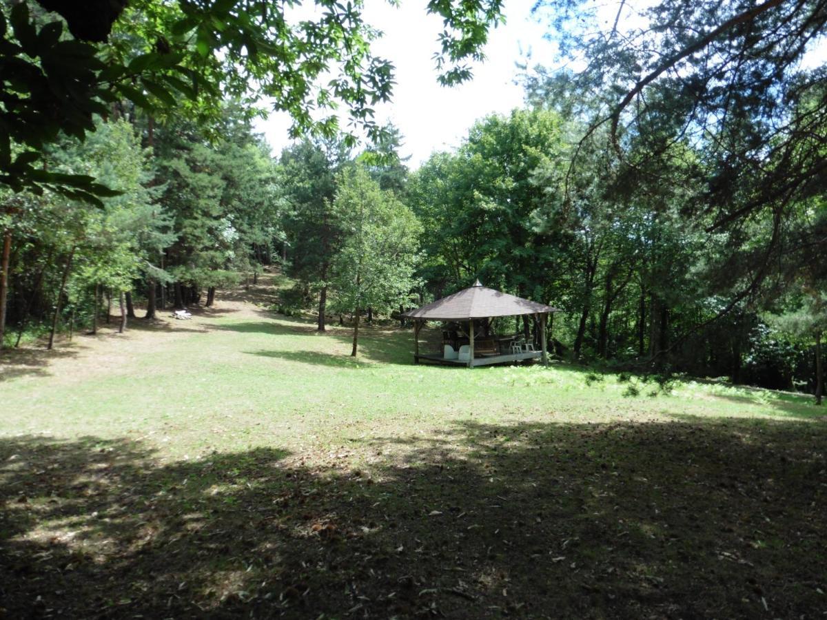 Le Petit Rias Gite Soleil Saint Maurice en Chalencon Exterior foto