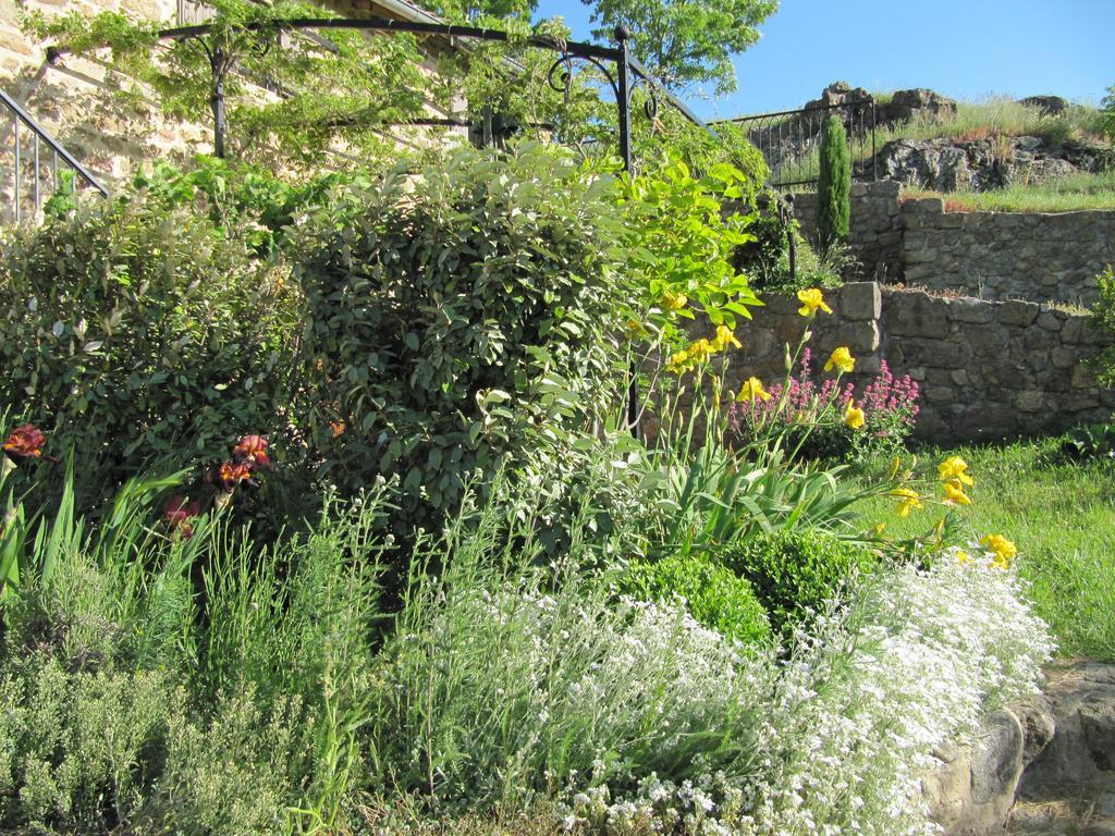Le Petit Rias Gite Soleil Saint Maurice en Chalencon Exterior foto