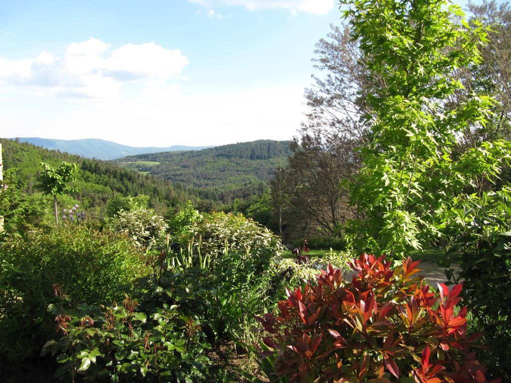 Le Petit Rias Gite Soleil Saint Maurice en Chalencon Exterior foto